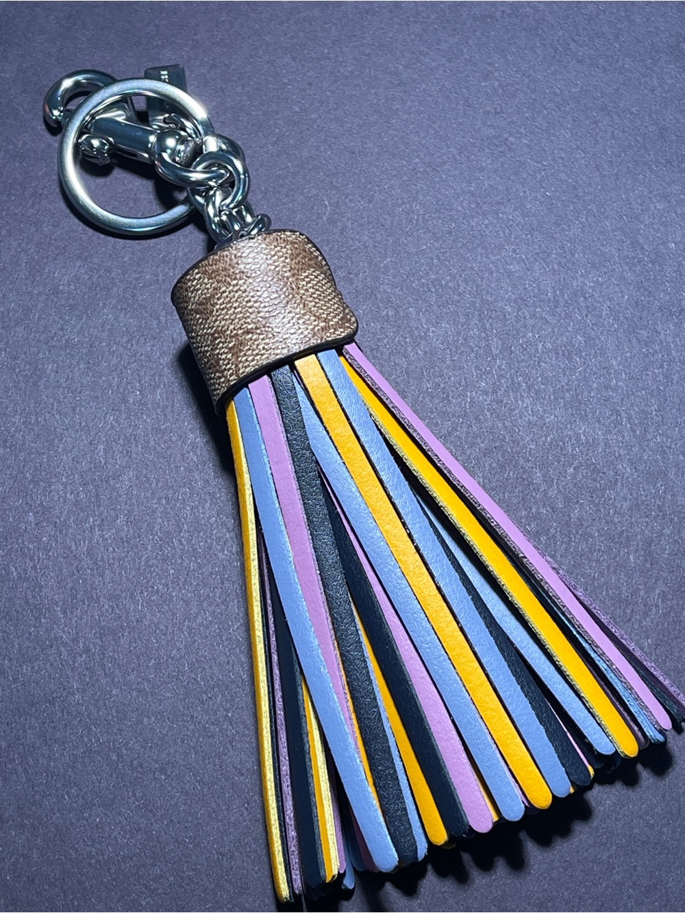 Coach Multicolor Leather Tassel Keychain with Brown Cap